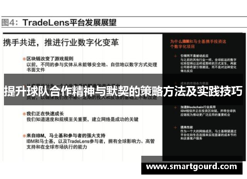 提升球队合作精神与默契的策略方法及实践技巧